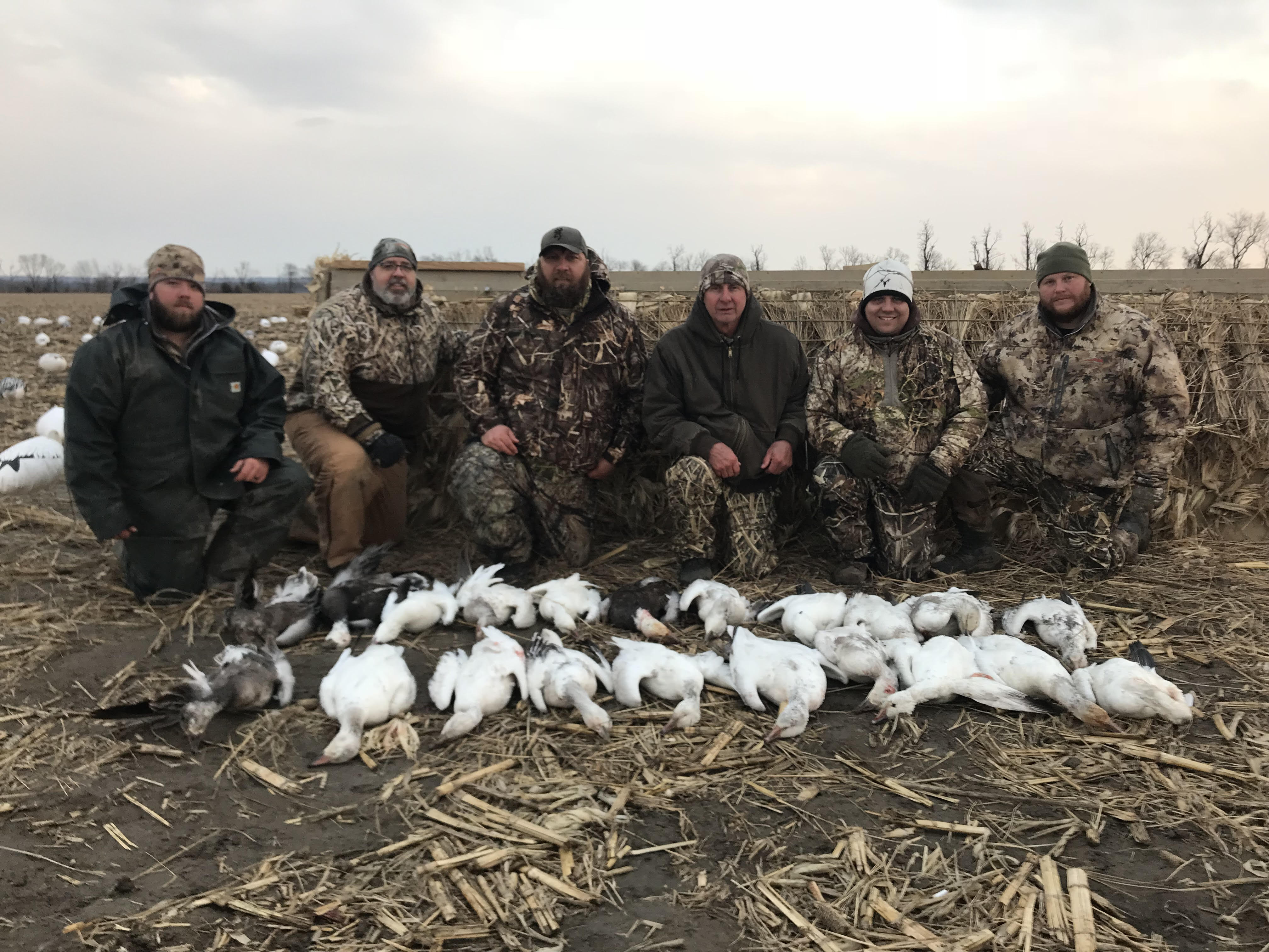 Fully Guided Spring Snow Goose Hunts In Mound City, Missouri Squaw